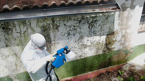 Trusted Mold Remediation service in Lake Stevens, WA - Cheap Mold Removal